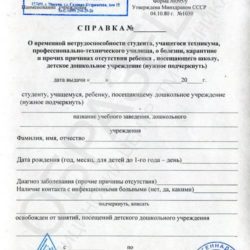 Справка 095у о болезни для студента