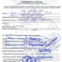 Справки для поступления в колледж и в ВУЗ