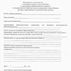 Справка 297/у для ПМПК